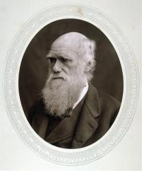 This photo from 1878 provided by the Granger Collection shows English naturalist Charles Darwin.