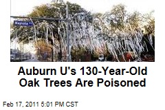 Alabama Trees Poisoned