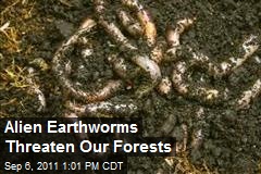 Alien Earthworms Threaten Our Forests