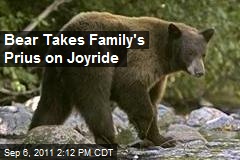 Bear Takes Family's Prius on Joyride