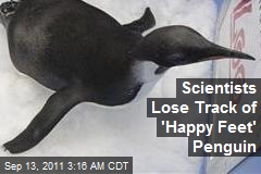 Scientists Lose Track of 'Happy Feet' Penguin