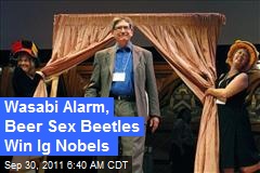 Wasabi Alarm, Beer Sex Beetles Win Ig Nobels