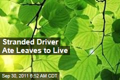 Stranded Driver Ate Leaves to Live