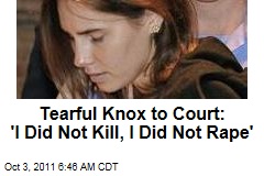 Tearful Knox to Court: 'I Did Not Kill, I Did Not Rape'