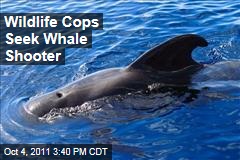 Wildlife Cops Seek Whale Shooter