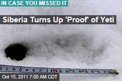 Siberia Turns Up 'Proof' of Yeti
