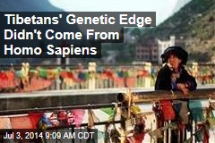 Tibetans' Genetic Edge Didn't Come From Homo Sapiens
