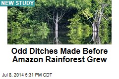 Odd Ditches Made Before Amazon Rainforest Grew