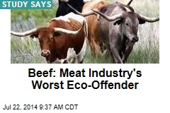Beef: Meat Industry's Worst Eco-Offender