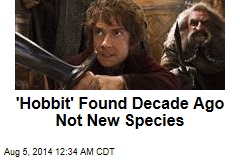 'Hobbit' Found Decade Ago Not New Species