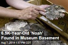 6.5K-Year-Old 'Noah' Found in Museum Basement