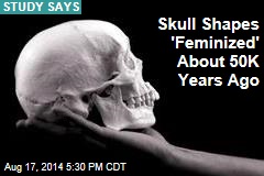 Skull Shapes 'Feminized' About 50K Years Ago