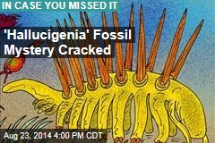'Hallucigenia' Fossil Mystery Cracked