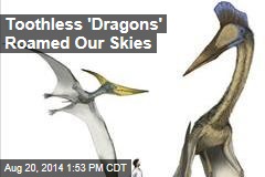 Toothless 'Dragons' Roamed Our Skies