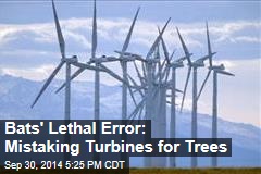 Bats' Lethal Error: Mistaking Turbines for Trees
