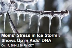 Moms' Stress in Ice Storm Shows Up in Kids' DNA