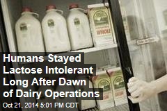 Humans Stayed Lactose Intolerant Long After Dawn of Dairy Operations