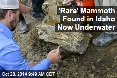 'Rare' Mammoth Found in Idaho Now Underwater