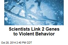 Scientists Link 2 Genes to Violent Behavior