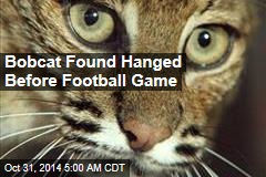 Bobcat Found Hanged Before Football Game