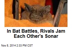 In Bat Battles, Rivals Jam Each Other's Sonar