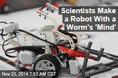 Scientists Make a Robot With a Worm's 'Mind'