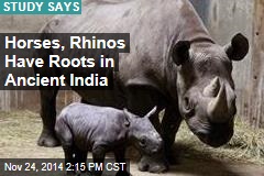 Horses, Rhinos Have Roots in Ancient India