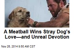 A Meatball Wins Stray Dog's Love—and Unreal Devotion