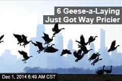 6 Geese-a-Laying Just Got Way Pricier