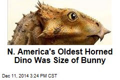 N. America's Oldest Horned Dino Was Size of Bunny