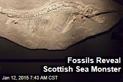 Fossils Reveal Scottish Sea Monster