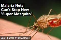 Malaria Nets Can't Stop New 'Super Mosquito'