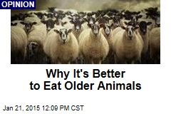Why It's Better to Eat Older Animals