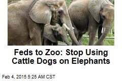 Feds to Zoo: Stop Using Cattle Dogs on Elephants