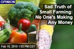 Sad Truth of Small Farming: No One's Making Any Money