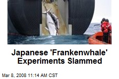 japanese experiments