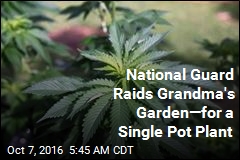 National Guard Raids Grandma's Garden—for a Single Pot Plant