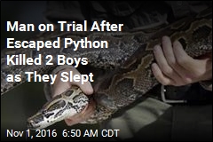 Man on Trial After Escaped Python Killed 2 Boys as They Slept