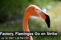 http://img1-cdn.newser.com/square-image/4520-20110401033938/factory-flamingos-go-on-strike.jpeg