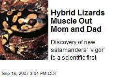 Hybrid Lizards